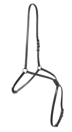 WAHLSTEN PREMIUM MEX TURPAREMMI, BIOTHANE, FULL WAHLSTEN PREMIUM MEX TURPAREMMI, BIOTHANE, FULL